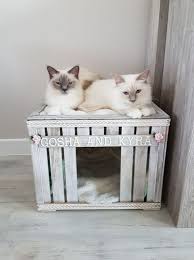 Creative Diy Cat House Ideas For Indoor Outdoor For All Cat Lovers Cat House Diy Outdoor Cat House Cat Diy