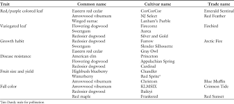 do cultivars of native plants support insect herbivores in