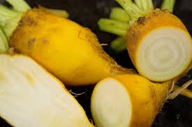 A rare european heirloom that can grow huge. Yellow Cylindrical Baker Creek Heirloom Seed Company Facebook