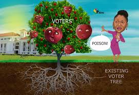 Fruit — the produce of a tree or plant which contains the seed or is used for food. Tv3gh Pa Twitter Cartoon Of The Day By Tilapia Gh Ec S Forbidden Fruit Fruit Of The Poisonous Tree Doctrine 3newsgh