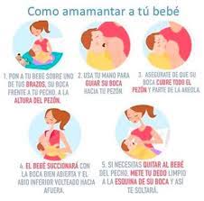 Aprende cómo produces este alimento perfecto y descubre de qué están hechos la leche y el calostro. Facebook