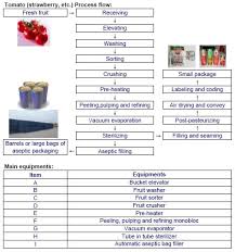 process flow chart of selected fruits source kingpak en