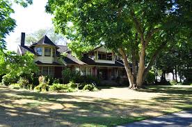 Image result for Hubbardochloa