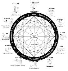 Chinese Medicine Organ Clock Chinese Medicine Acupuncture