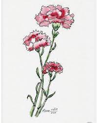 25 De Abril Danielafm15 Vsco In 2021 Carnation Tattoo Flower Drawing Carnation Drawing