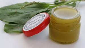 Ulcerul varicos este o afectiune desul de severa care apare in randul persoanelor in varsta care au suferit de varice si care au intarziat tratarea acesteia. Tratamente Naturale Cu Patlagina Pulberea Este Un Remediu Excelent Pentru Ulcer Gastric Buna Ziua Iasi Bzi Ro