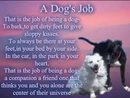 Pin By Liz Touch On Cracklarious Dog Poems Dog Quotes I Love Dogs