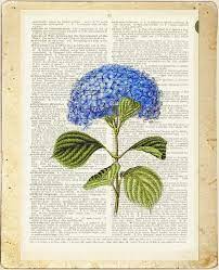 Hydrangea Flower Print Etsy Hydrangea Artwork Vintage Artwork Hydrangea Flower