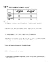 World scientific publishing co pte ltd. Homeostasis And Human Excretion Kidney Laboratory Lesson Plan By Lisa Michalek