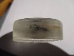 Hier findet ihr alle wichtigen fragen und antworten zum thema insekten essen im überblick. Ein Experiment Konserverierung In Kunstharz