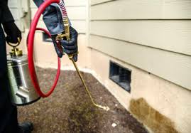 Schedule pest control in henderson or longview, tx today! The 10 Best Bed Bug Exterminators In Longview Tx 2021