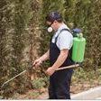 Pest control, bee removal, termite control. The 10 Best Pest Control Exterminators In Williamstown Nj 2020 Porch