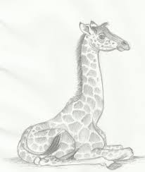 Baby Giraffe By Huntergirl463 On Deviantart Baby Animal Drawings Animal Drawings Giraffe Drawing