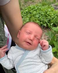 Plant Based Gabriel added a new photo.