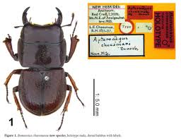 We did not find results for: Lucanidae Hashtag Pa Twitter