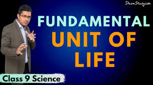 Maybe you would like to learn more about one of these? Cell Theory Cell Cell Structure Fundamental Unit Of Life Class 9 Science Cbse Ncert Youtube