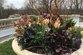 Check spelling or type a new query. Best Flowers For Container Gardening Perennials Annuals The Old Farmer S Almanac