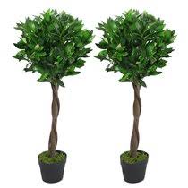 We did not find results for: Artificial Bay Tree Wayfair Co Uk