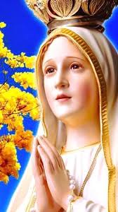 OUR POPE OUR LEADER GOD PROTECT YOU ALWAYS. PRAY FOR US.... 🙏