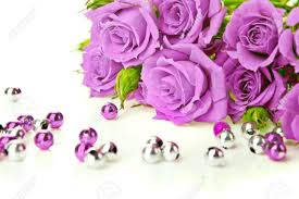 We did not find results for: Purple Roses Bouquet And Beads On White Background Stock Photo Picture And Royalty Free Image Image 6265874