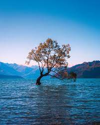 Should Developers Generalize Or Specialize Nature Photography Landscape Photography Nature Pictures