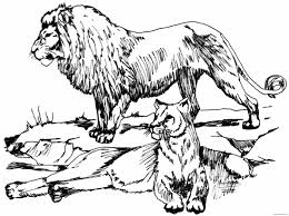 Or color online on our site with the interactive coloring machine. Cat Line Art Coloring Pages Big Cat Line Drawings 6dxopa Printable Coloring4free Coloring4free Com