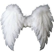 Angel Wings Wings Png Angel Wings Png Wings