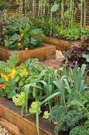 Raised Bed Using Really Thick Wood 4x6 Makes Them Look Really Sturdy And Pretty Veggie Garden Plants Planting Flowers