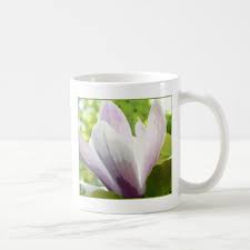 Pin On Nature Picture On Kitchen Products