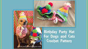 Pin On Crochet For Pets