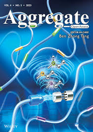 Aggregate Author Guidelines