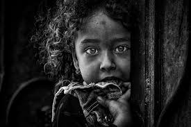 Coastal Serenity Reveals Tranquil Beauty and Endless Horizons