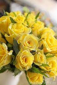 As a result, you can install a beautiful and colorful wallpaper in high quality. Yellow Roses Yellow Rose Flower Yellow Rose Bouquet Yellow Roses