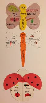 Create The Life Cycle Of A Butterfly Dragonfly And Ladybug Right On Their Wings Body Life Cycle Craft Life Cycles Kindergarten Science