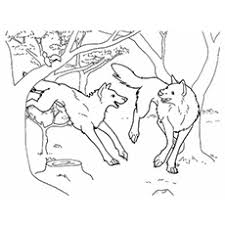Think wolves are just wild dogs? Top 15 Free Printable Wolf Coloring Pages Online
