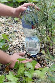 Image result for plašič krtků z pet lahve