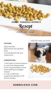 Natürliches und biologisches futter, leckerlis, natürliche. Kaseleckerlis Fur Hunde Hunde Kekse Rezept Kochen Fur Hunde Hundekekse