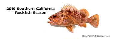 2019 California Rockfish Fishing Regulations For Southern