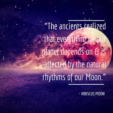 They weren't out for the eclipse, and i've always get the scoop on how to infuse more crystal goodness into your life. 5 Steps For Setting Intentions Manifestation With Crystals At New Moon Hibiscus Moon Crystal Academy