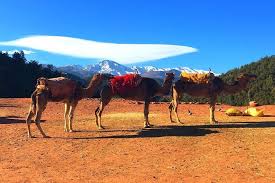 Drive across agafay desert to admire the view of the arid dunes with atlas mountains in the backdrop. Spacetraveller Activity Atlas Mountains Day Trips 3
