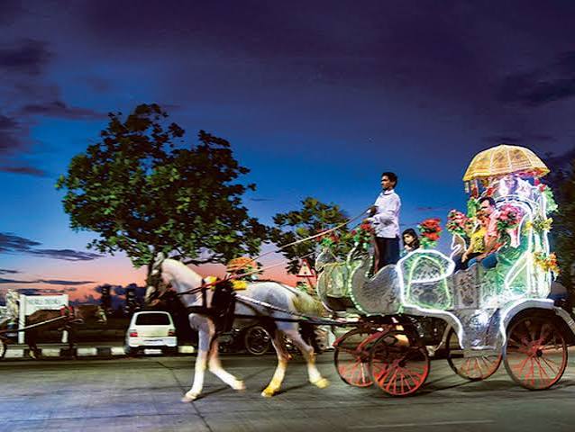 Mumbai horse carriage ban leaves working families in fear