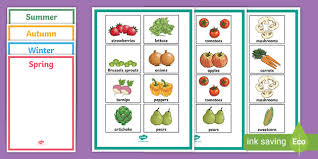 British Seasonal Fruits And Vegetables Sorting Activity