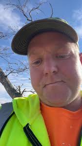 Travis Stephens Tree Service