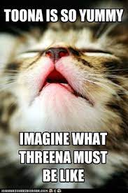 Theoretical Cat Math Lolcats Lol Cat Memes Funny Cats Funny Cat Pictures With Words On Them Funny Pictures Lol Cat Memes Lol Cats