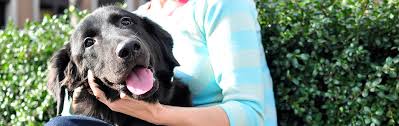 This data set contains information of u.s. Pet Statistics Shelter Intake And Surrender Aspca