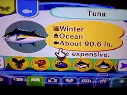 City folk, there are more then fifty fish that you can collect. Animal Crossing City Folk Fish Guide Butterflyfish Animal Crossing Wiki Neoseeker You Can Walk As Fast As You Like But The Moment You Press Down B Or Z