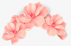 Download 160,000+ royalty free pink flower vector images. Pink Vector Flowers Png Images Free Transparent Pink Vector Flowers Download Kindpng