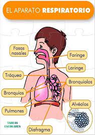 Pin En Areas Culturales Y Mas