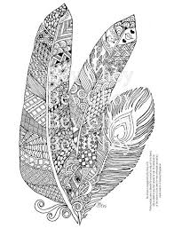 Pin On Birds Feathers