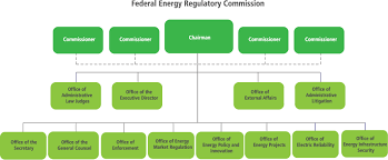 Ferc Offices Organization Chart